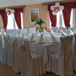 drumski raj restoran prenociste svilajnac 055