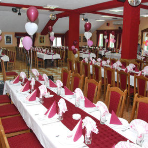 drumski raj restoran prenociste svilajnac 072