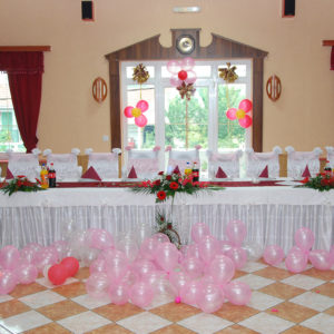 Velika sala za proslave do 200 mesta