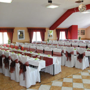 drumski raj restoran prenociste svilajnac 088