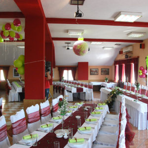 drumski raj restoran prenociste svilajnac 091