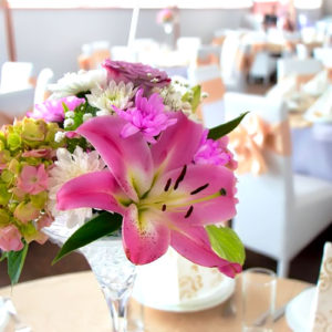 Nova_sala_za_proslave_12